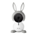 Arlo Baby (Gray Bunny Character)