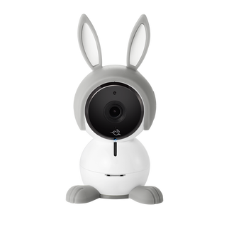 Arlo Baby (Gray Bunny Character)