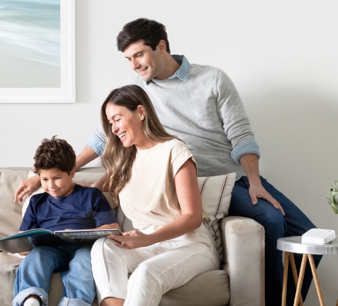 We protect your everything.